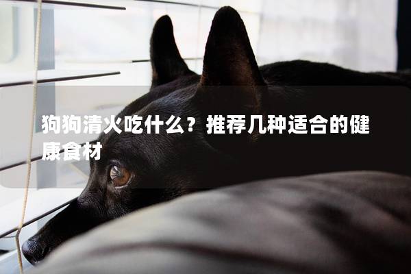 狗狗清火吃什么？推薦幾種適合的健康食材
