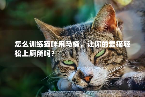 怎么訓練貓咪用馬桶，讓你的愛貓輕松上廁所嗎？