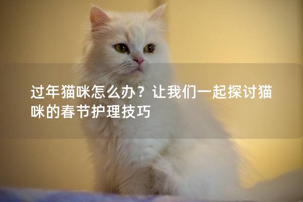 過年貓咪怎么辦?讓我們一起探討貓咪的春節護理技巧 過年貓咪怎么辦?讓我們一起探討貓咪的春節護理技巧