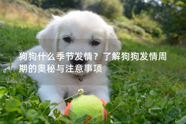 狗狗什么季節發情？了解狗狗發情周期的奧秘與注意事項