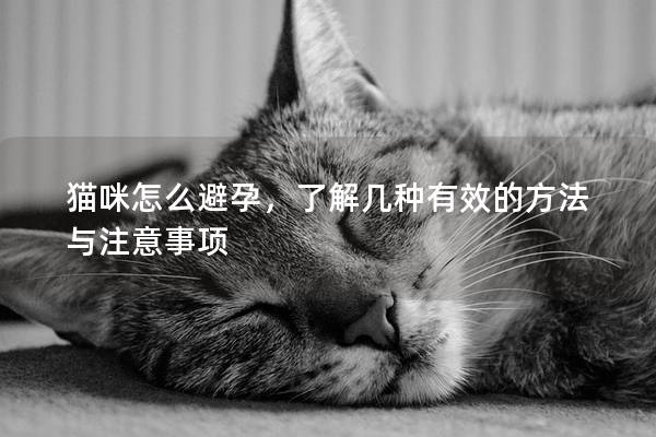 貓咪怎么避孕，了解幾種有效的方法與注意事項