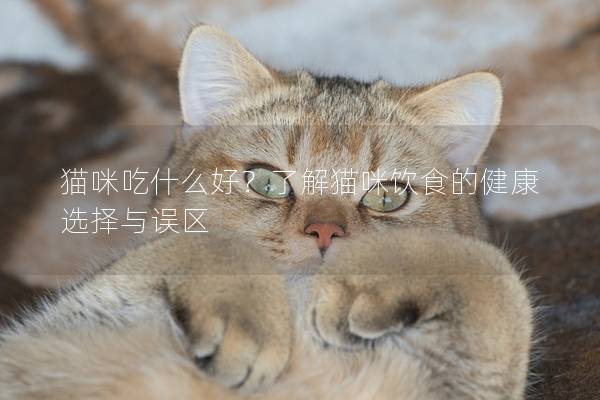 貓咪吃什么好？了解貓咪飲食的健康選擇與誤區(qū)