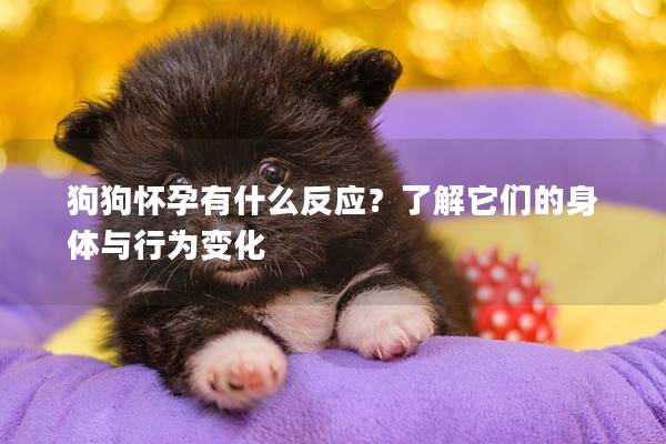 狗狗懷孕有什么反應(yīng)？了解它們的身體與行為變化