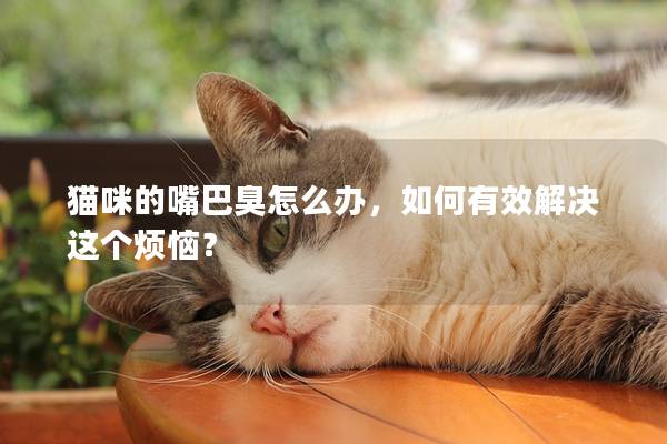 貓咪的嘴巴臭怎么辦，如何有效解決這個煩惱？