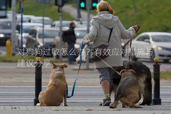 對狗狗過敏怎么辦？有效應(yīng)對措施與建議分享