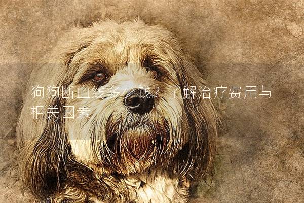 狗狗斷血線多少錢？了解治療費用與相關因素
