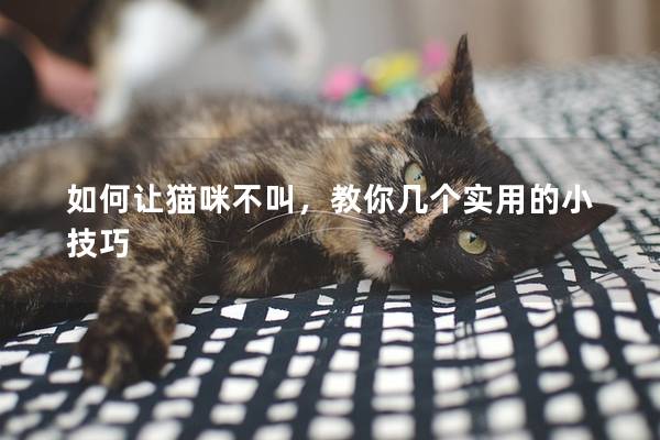 如何讓貓咪不叫，教你幾個實用的小技巧