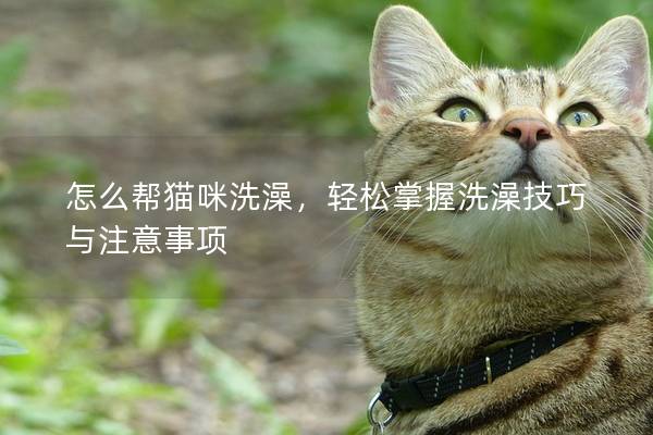 怎么幫貓咪洗澡，輕松掌握洗澡技巧與注意事項(xiàng)