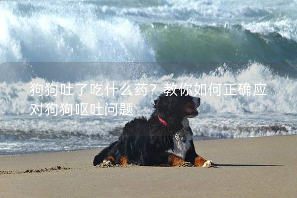 狗狗吐了吃什么藥？教你如何正確應(yīng)對狗狗嘔吐問題