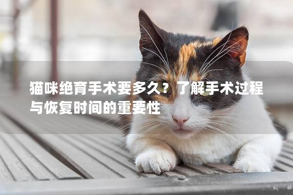 貓咪絕育手術要多久？了解手術過程與恢復時間的重要性