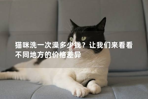 貓咪洗一次澡多少錢？讓我們來看看不同地方的價格差異