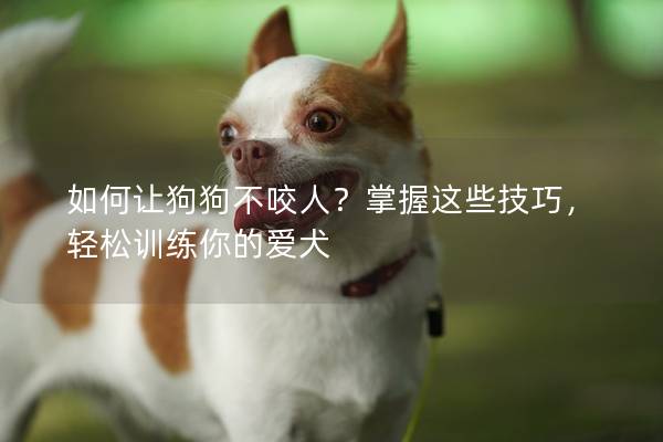 如何讓狗狗不咬人？掌握這些技巧，輕松訓(xùn)練你的愛(ài)犬