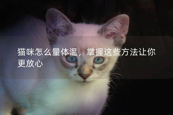 貓咪怎么量體溫，掌握這些方法讓你更放心