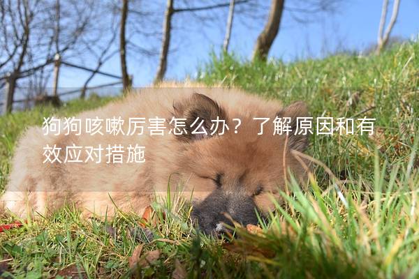 狗狗咳嗽厲害怎么辦？了解原因和有效應(yīng)對(duì)措施