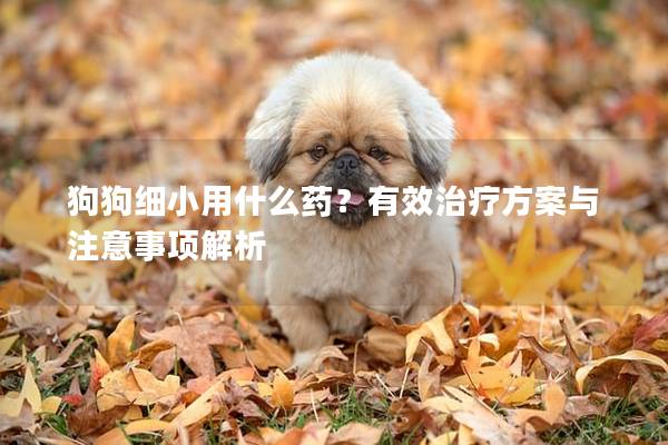狗狗細(xì)小用什么藥？有效治療方案與注意事項(xiàng)解析