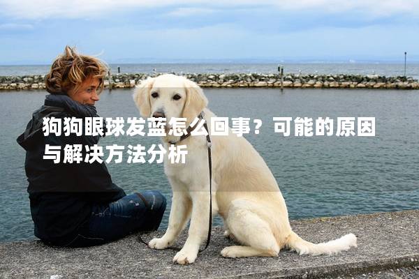 狗狗眼球發(fā)藍怎么回事？可能的原因與解決方法分析