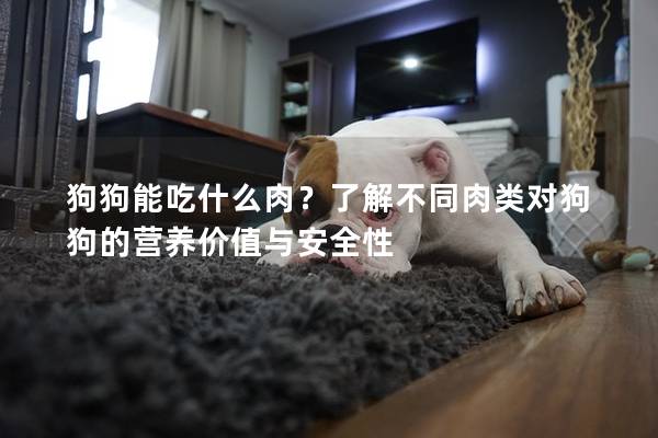 狗狗能吃什么肉？了解不同肉類對狗狗的營養價值與安全性