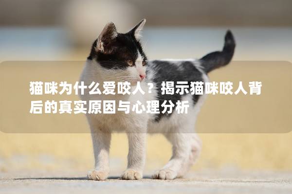 貓咪為什么愛咬人？揭示貓咪咬人背后的真實原因與心理分析