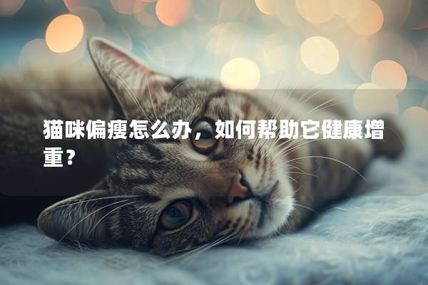 貓咪偏瘦怎么辦，如何幫助它健康增重？