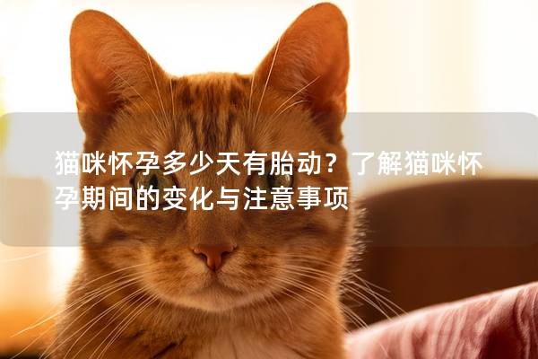 貓咪懷孕多少天有胎動(dòng)？了解貓咪懷孕期間的變化與注意事項(xiàng)