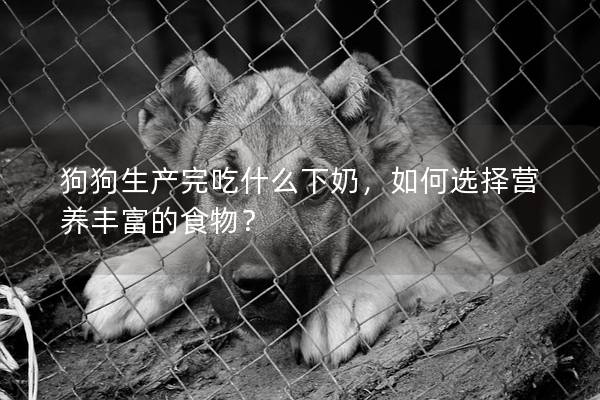 狗狗生產完吃什么下奶,如何選擇營養豐富的食物? 狗狗生產完吃什么下奶,如何選擇營養豐富的食物?