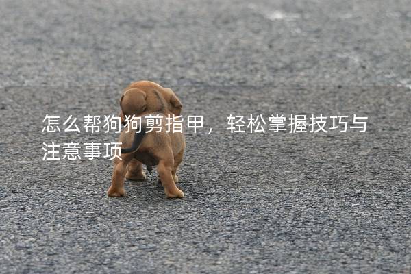 怎么幫狗狗剪指甲，輕松掌握技巧與注意事項(xiàng)