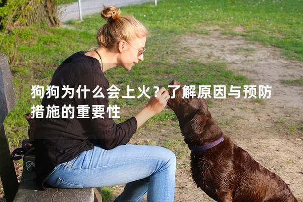 狗狗為什么會上火？了解原因與預(yù)防措施的重要性