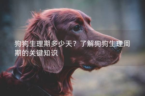 狗狗生理期多少天？了解狗狗生理周期的關(guān)鍵知識