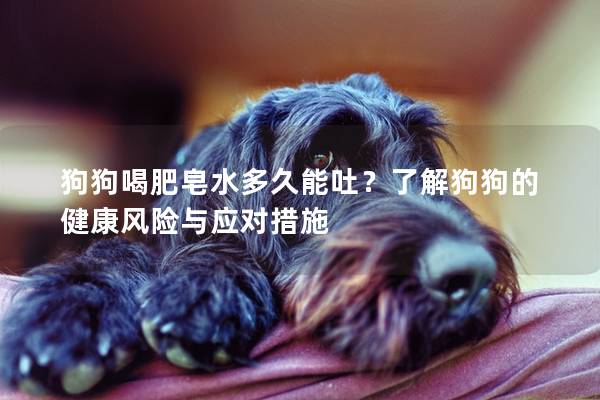 狗狗喝肥皂水多久能吐？了解狗狗的健康風(fēng)險(xiǎn)與應(yīng)對措施