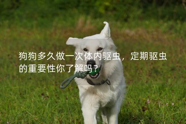 狗狗多久做一次體內(nèi)驅(qū)蟲，定期驅(qū)蟲的重要性你了解嗎？