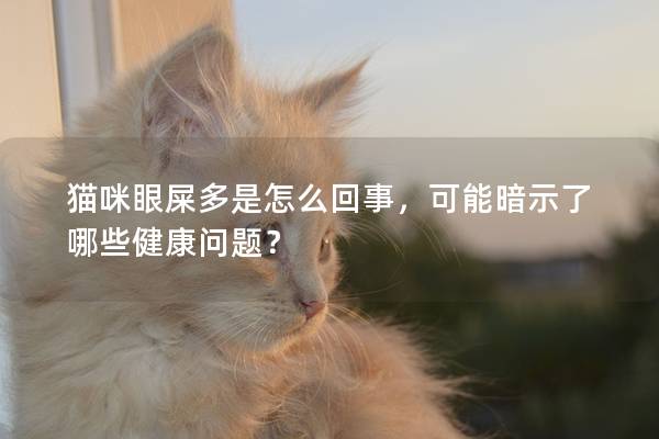 貓咪眼屎多是怎么回事，可能暗示了哪些健康問題？