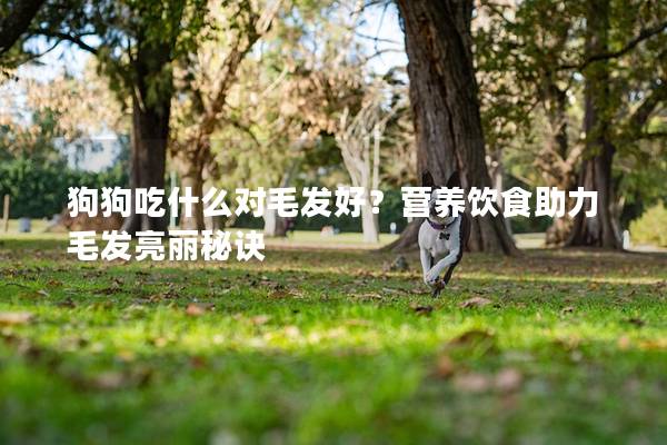 狗狗吃什么對毛發(fā)好?營養(yǎng)飲食助力毛發(fā)亮麗秘訣 狗狗吃什么對毛發(fā)好?營養(yǎng)飲食助力毛發(fā)亮麗秘訣