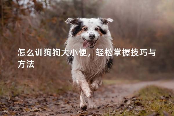 怎么訓狗狗大小便，輕松掌握技巧與方法