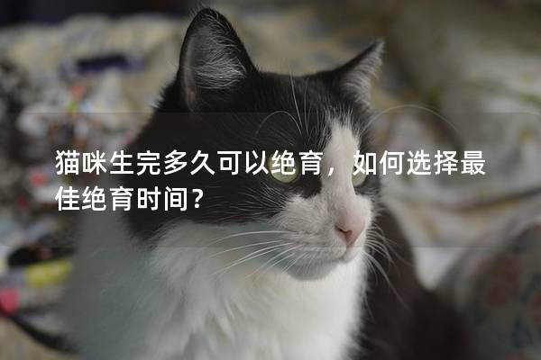 貓咪生完多久可以絕育，如何選擇最佳絕育時間？