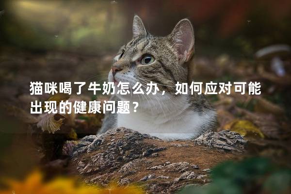 貓咪喝了牛奶怎么辦，如何應(yīng)對可能出現(xiàn)的健康問題？