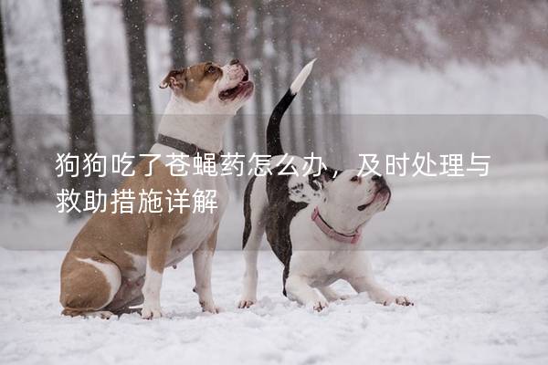 狗狗吃了蒼蠅藥怎么辦，及時(shí)處理與救助措施詳解