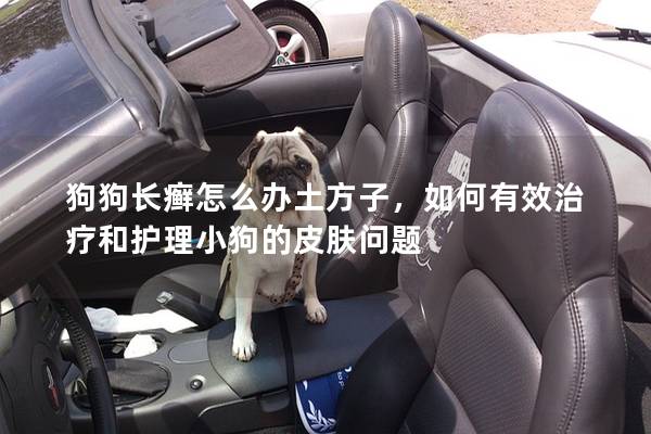 狗狗長癬怎么辦土方子，如何有效治療和護理小狗的皮膚問題