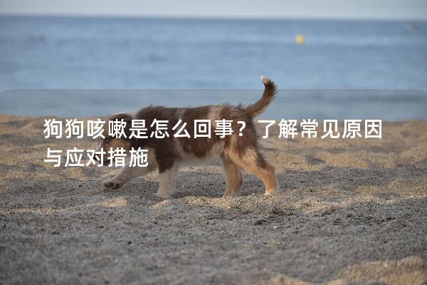 狗狗咳嗽是怎么回事？了解常見原因與應對措施