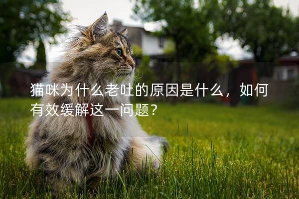 貓咪為什么老吐的原因是什么，如何有效緩解這一問題？
