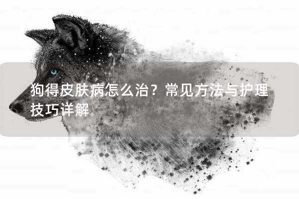 狗得皮膚病怎么治？常見方法與護理技巧詳解