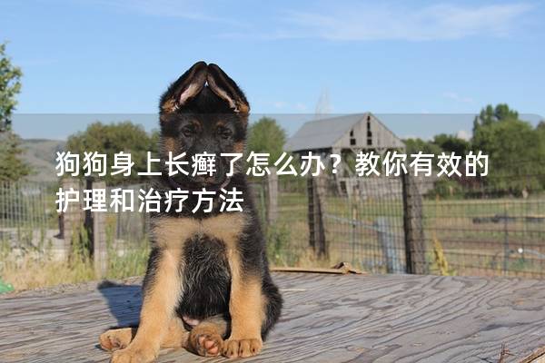 狗狗身上長癬了怎么辦？教你有效的護理和治療方法
