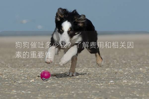 狗狗催吐多少錢?了解費用和相關因素的重要性 狗狗催吐多少錢?了解費用和相關因素的重要性