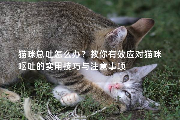 貓咪總吐怎么辦？教你有效應對貓咪嘔吐的實用技巧與注意事項