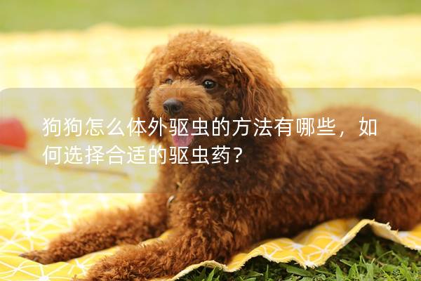 狗狗怎么體外驅(qū)蟲的方法有哪些，如何選擇合適的驅(qū)蟲藥？
