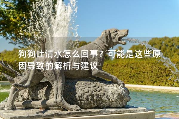 狗狗吐清水怎么回事？可能是這些原因?qū)е碌慕馕雠c建議