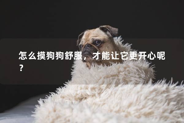 怎么摸狗狗舒服，才能讓它更開心呢？