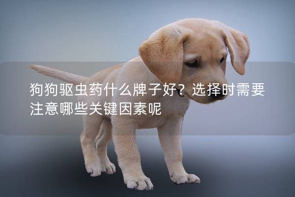 狗狗驅(qū)蟲(chóng)藥什么牌子好?選擇時(shí)需要注意哪些關(guān)鍵因素呢 狗狗驅(qū)蟲(chóng)藥什么牌子好?選擇時(shí)需要注意哪些關(guān)鍵因素呢