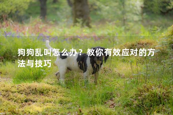 狗狗亂叫怎么辦？教你有效應對的方法與技巧