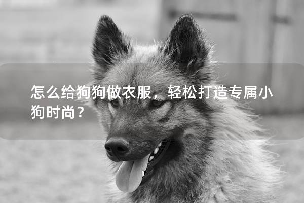 怎么給狗狗做衣服，輕松打造專屬小狗時尚？