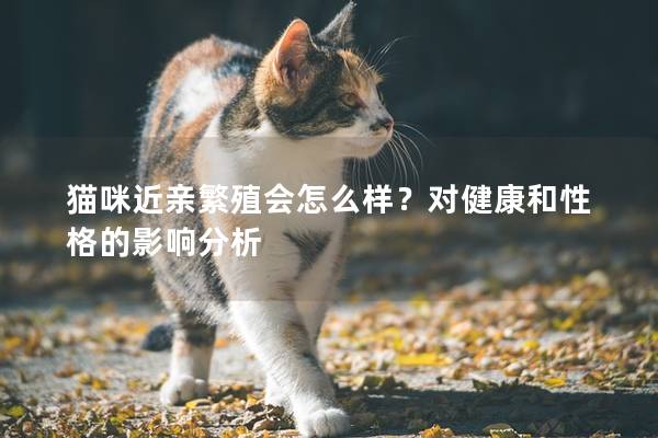 貓咪近親繁殖會怎么樣？對健康和性格的影響分析
